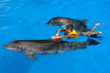 Similar image 17543077