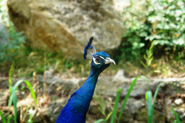 Similar image 17543081