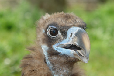 Similar image 17543082