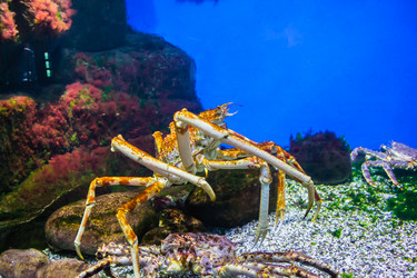 Similar image 17543987