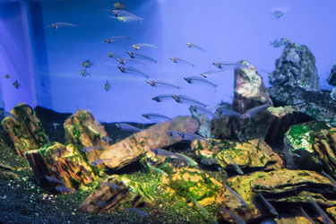 Similar image 17543933