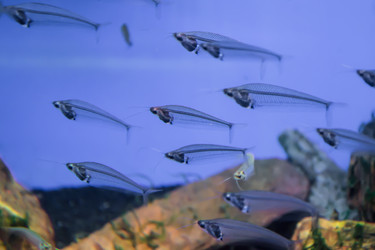 Similar image 17544061