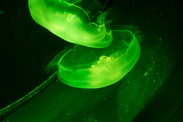 Similar image 17544166