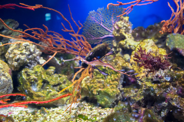 Similar image 17544226