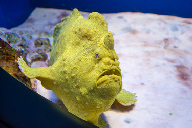 Similar image 17544228