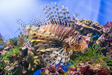 Similar image 17544175