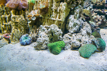 Similar image 17544176