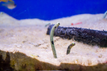 Similar image 17544177