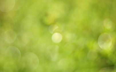 Similar image 17543198