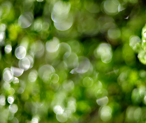 Similar image 17543199