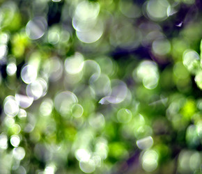 Similar image 17543200