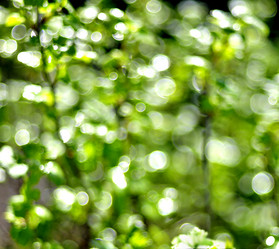 Similar image 17543201