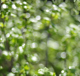 Similar image 17543202