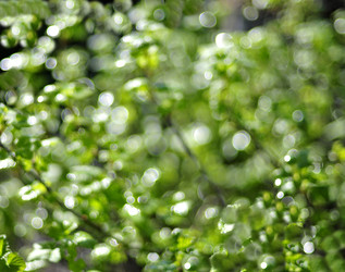 Similar image 17543203