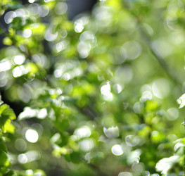 Similar image 17543216