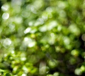 Similar image 17543218