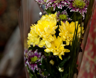 Similar image 17543219