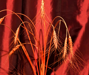 Similar image 17543225