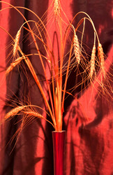 Similar image 17543209