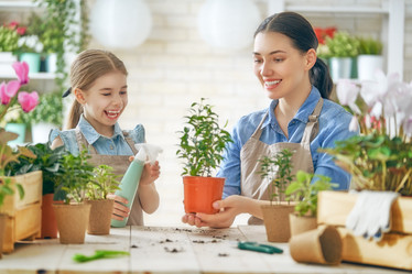 Similar image 17540735