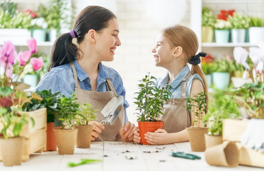 Similar image 17540746