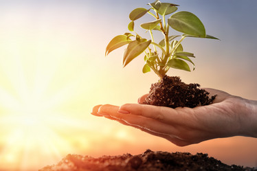 Similar image 17540754