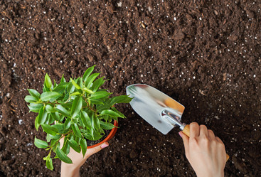 Similar image 17540764