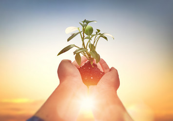 Similar image 17540765