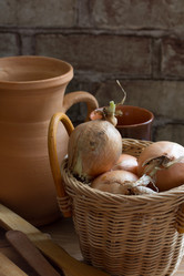 Similar image 17543232