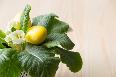 Similar image 17543247