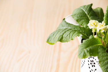 Similar image 17543248