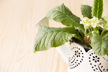 Similar image 17543250