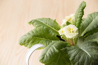 Similar image 17543266