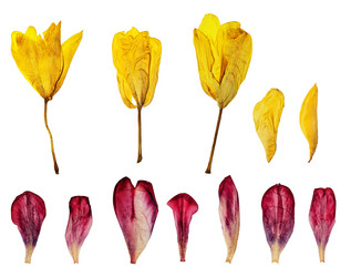 Similar image 17543005