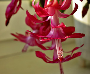 Similar image 17543249