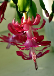 Similar image 17543251