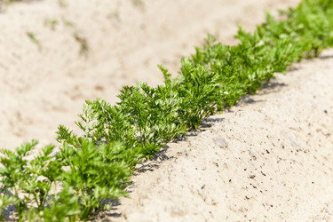 Similar image 18151809