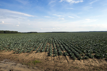 Similar image 18151818