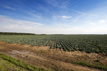 Similar image 18151817