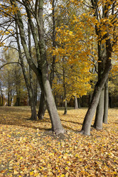 Similar image 18151821