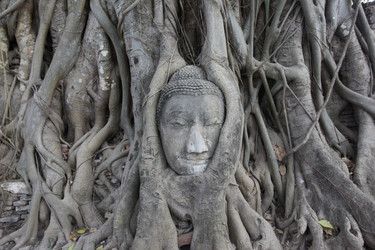 Similar image 18508835