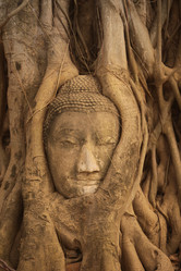 Similar image 18508894