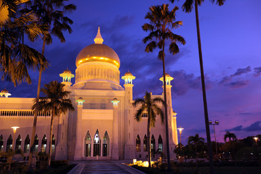 Similar image 18509351