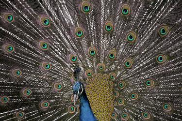 Similar image 18143394