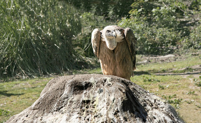 Similar image 18143401