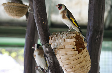 Similar image 18143411