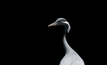 Similar image 18143419