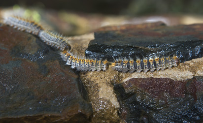 Similar image 18143377