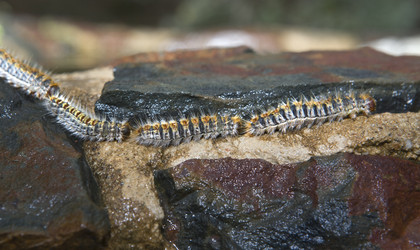 Similar image 18143370