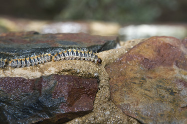 Similar image 18143376